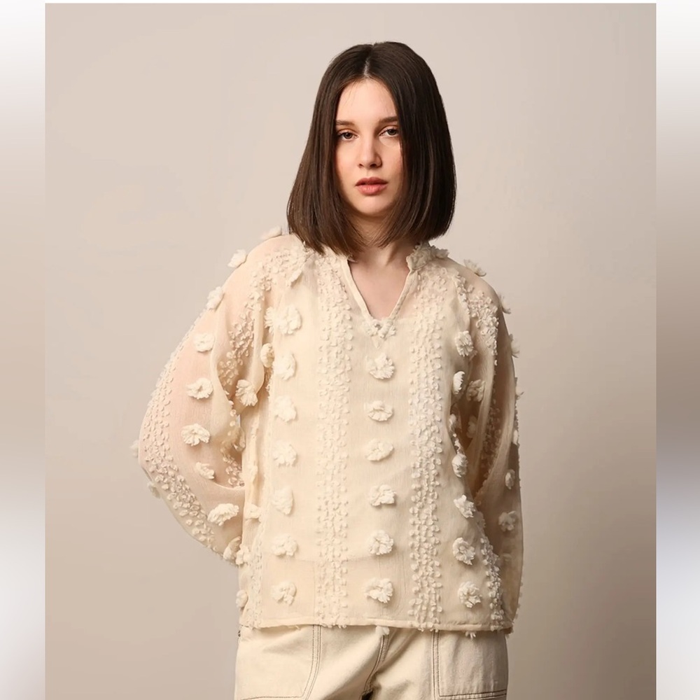 Floral 3D Appliqué Blouse - Zara - Medium (NWT) Beige Sheer